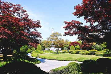 여행중찍은꽃과풍경입니다