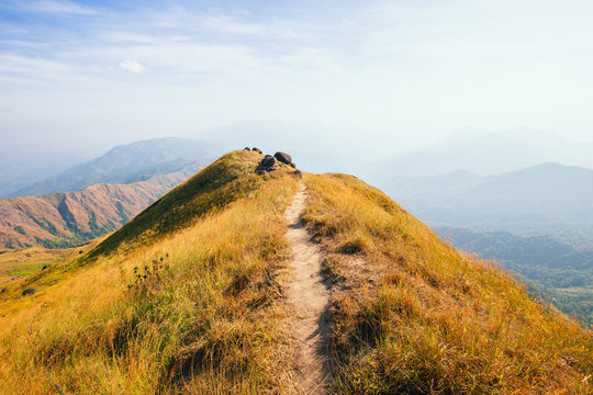A mountain view full of grass In the evening