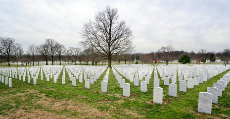 Fototapeta na wymiar Tombstones at Arlington National Cemetery.
