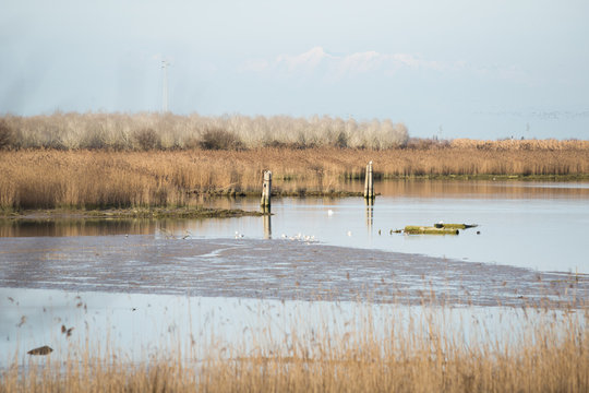caorle, italy, 02/16/2020 , View of the Caorle's lagoon, a famous touristic spot in the adriatic sea coast line.