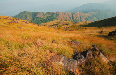Hillside meadow In the evening