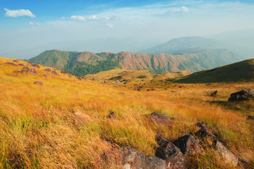 A hill full of grass During the time of strong sunlight