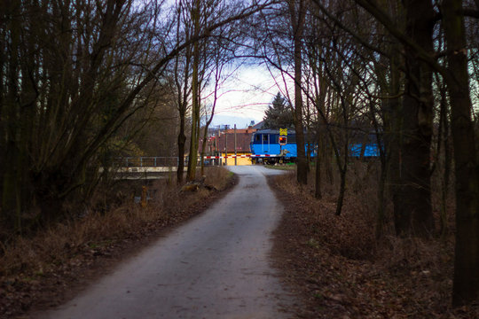 Forest train in amazing autumn colors. Bright lights, fantastic mood. Children's train in Budapest. Szechenyi hegy hill to huvosvolgy hill to huvosvolgy. Children's train operate by children. Hungary