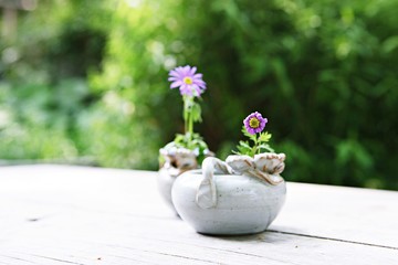 여행중찍은꽃과풍경입니다