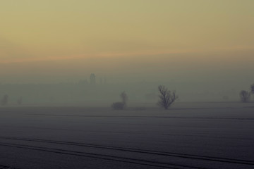 fog morning