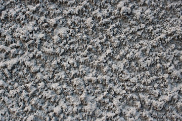 this is the wall of my house. February 25, 2020