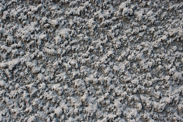 this is the wall of my house. February 25, 2020