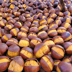 Fried chestnuts on the street. Street food. Roasted chestnuts. Italy, Rome