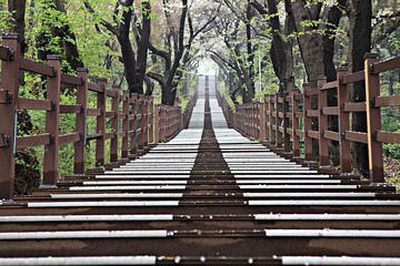 여행중찍은꽃과풍경입니다