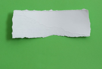pieces of torn paper on green background. copy space