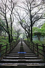 여행중찍은꽃과풍경입니다