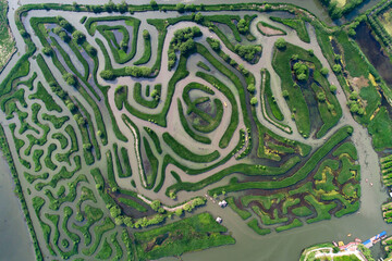 Aerial photo of reed maze in Dazhong lake, Yancheng City, Jiangsu Province, China