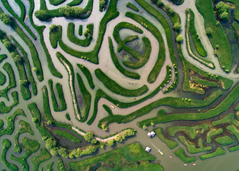 Aerial photo of reed maze in Dazhong lake, Yancheng City, Jiangsu Province, China
