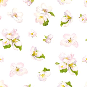 Blooming pattern of flowering apple or pear, flowers and green leaves. Spring print illustration, blossom vector image. Template seamless textile, fabric or wallpapers.