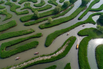 Aerial photo of reed maze in Dazhong lake, Yancheng City, Jiangsu Province, China