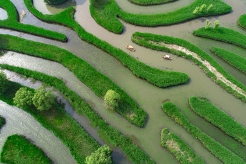 Aerial photo of reed maze in Dazhong lake, Yancheng City, Jiangsu Province, China