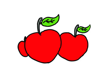 delicious red apple vector illustration. drawing. 