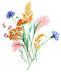 Watercolor bouquet of wild flowers.