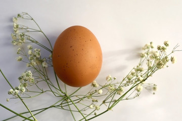 Free range eggs and gypsophila flowers on white background. Top view.