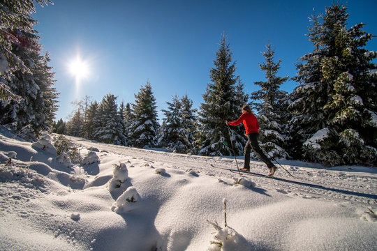 A women cross-country skiing in the sunny wintry forest