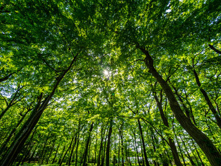 Obraz premium 風景 landscape 8