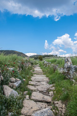 Hierapolis Pamukkale