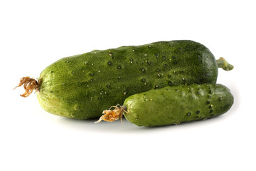 Two cucumbers isolated on white