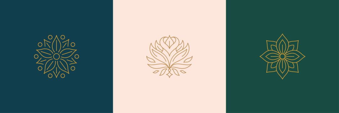 Naklejki Vector line minimal decoration design elements set - rose flower and botanical leaves illustrations minimal linear style