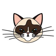 face of cat animal isolated icon vector illustration design
