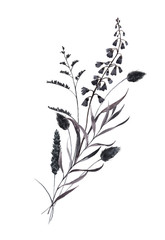 Beautiful bouquet composition with watercolor dark wild field herbs. Stock illustration.