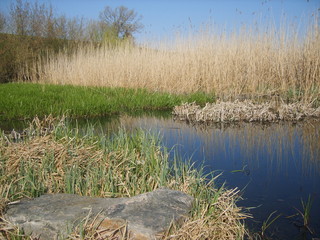 <Digimax S830 / Kenox S830>