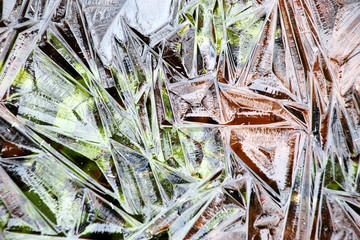 Clear, natural ice in the forest.