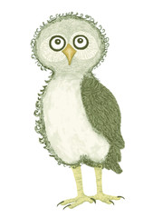 Funny standing baby owl grey color