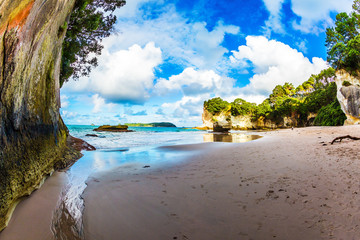 Obraz premium The Cathedral Cave of New Zealand
