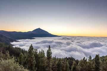 Teide over the clouds