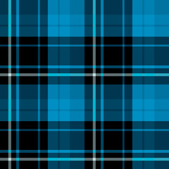 Seamless pattern in amazing black, blue and white colors for plaid, fabric, textile, clothes, tablecloth and other things. Vector image.