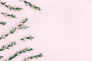 Flowers composition. Eucalyptus leaves on pink background. Spring concept. Flat lay, top view, copy space