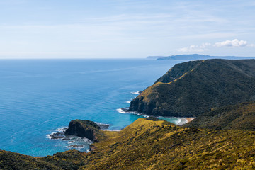 Fototapeta na wymiar cliffs on the coast of new zealand at cape reinga