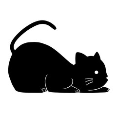 black cat on white background