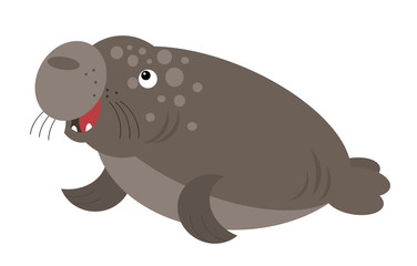 Cartoon animal sea lion on white background illustration