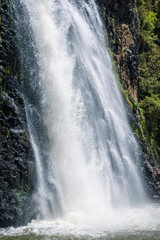 Fototapeta na wymiar waterfall in forest, hunua, new zealand