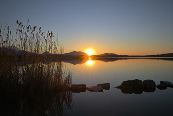 Sonnenuntergang am Ufer des Hopfensee