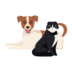 cute dog with cat black and white vector illustration design
