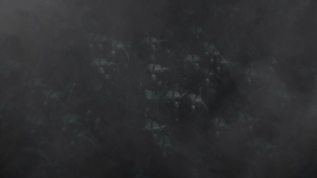 Zombies Running in Top View