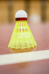 Sport equipment - Badminton