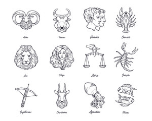 Vector set of zodiac signs. Zodiac constellations. Astrological horoscope.