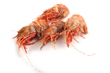 Shrimps isolated on white (northern Bering shrimp)