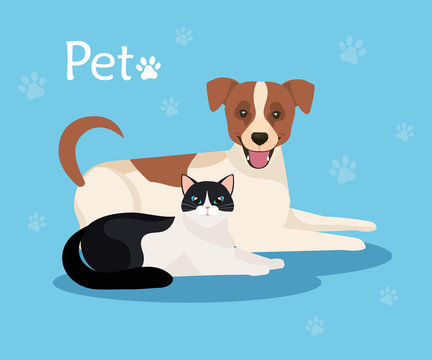 cute dog with cat in background blue with pawprints vector illustration design