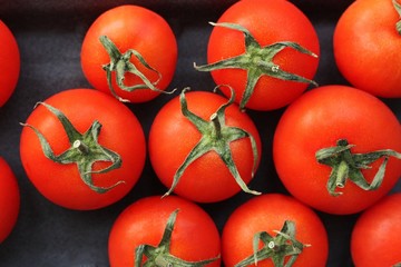 Fresh red tomatoes for salad close up view 