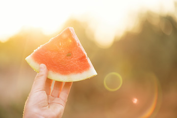 The boy holds a piece of watermelon in his hand and holds it out, selective focus, lens effect. Summer concept, fresh and happy.